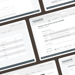 Wireframes Viasanté