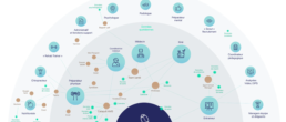 Ecosystem map_Stade Toulousain Association
