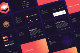 Guidelines CartographIT
