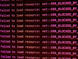 david-pupaza-heNwUmEtZzo-unsplash