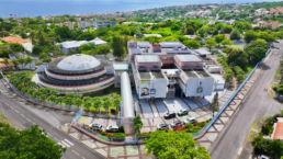 Bat_Region Guadeloupe