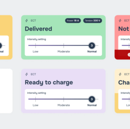 Ecrans des différents état de æchargements de l'application ElectroVet