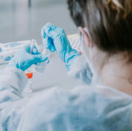 Vétrinaire préparant l'injection